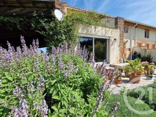 maison - MONTESQUIEU VOLVESTRE - 31