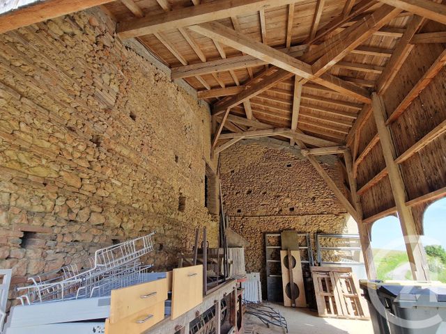 maison - MONTESQUIEU VOLVESTRE - 31