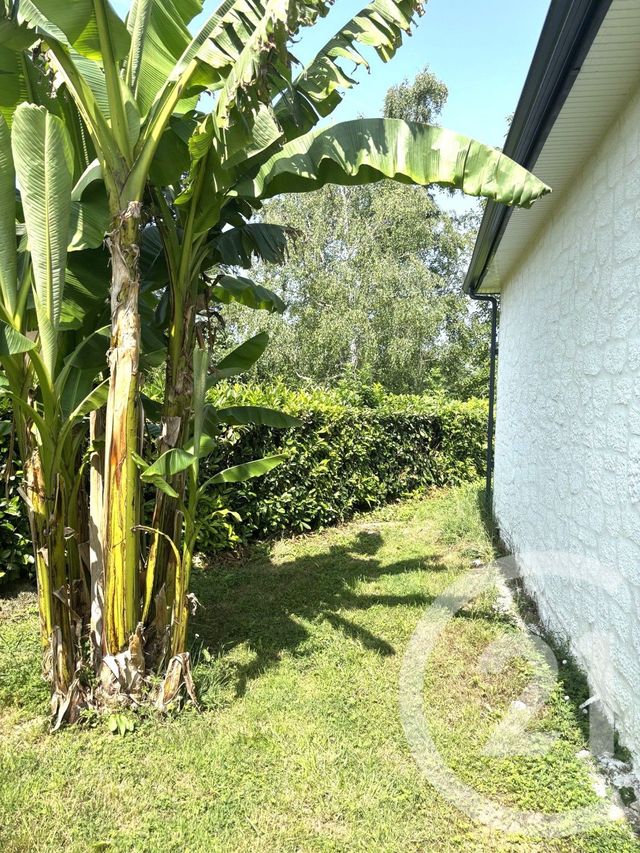 maison à vendre - 5 pièces - 110.0 m2 - MONTESQUIEU VOLVESTRE - 31 - MIDI-PYRENEES - Century 21 Hnc.Immo