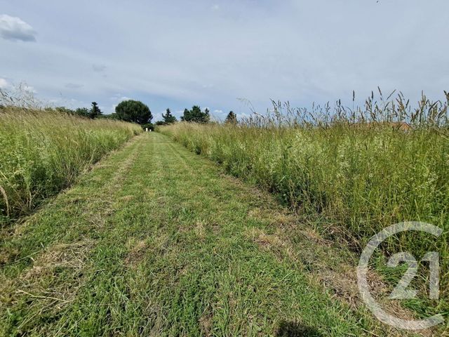 terrain à vendre - 1069.0 m2 - CARBONNE - 31 - MIDI-PYRENEES - Century 21 Hnc.Immo