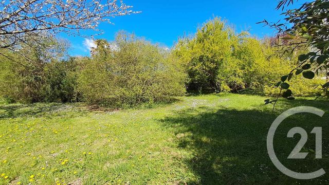 terrain à vendre - 1371.0 m2 - CARBONNE - 31 - MIDI-PYRENEES - Century 21 Hnc.Immo