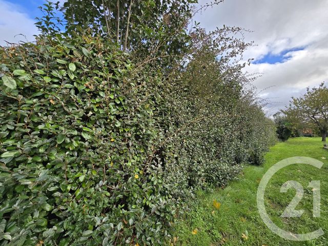 terrain à vendre - 1300.0 m2 - MURET - 31 - MIDI-PYRENEES - Century 21 Hnc.Immo