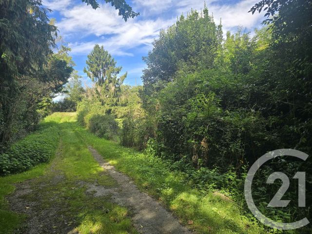 terrain à vendre - 520.0 m2 - CARBONNE - 31 - MIDI-PYRENEES - Century 21 Hnc.Immo