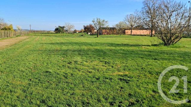 terrain - LAFITTE VIGORDANE - 31