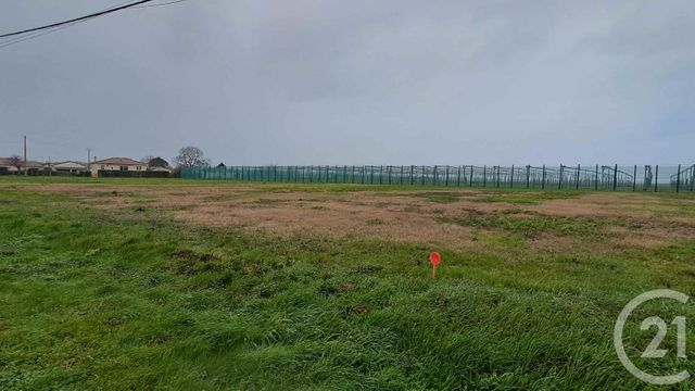 terrain à vendre - 1704.0 m2 - LAFITTE VIGORDANE - 31 - MIDI-PYRENEES - Century 21 Hnc.Immo