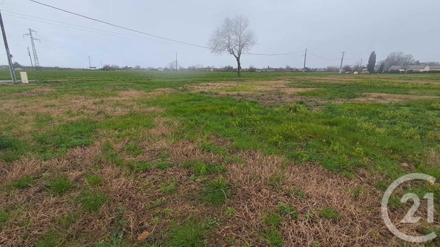 terrain à vendre - 1686.0 m2 - LAFITTE VIGORDANE - 31 - MIDI-PYRENEES - Century 21 Hnc.Immo