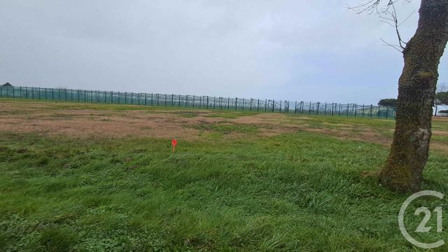 terrain à vendre - 1686.0 m2 - LAFITTE VIGORDANE - 31 - MIDI-PYRENEES - Century 21 Hnc.Immo