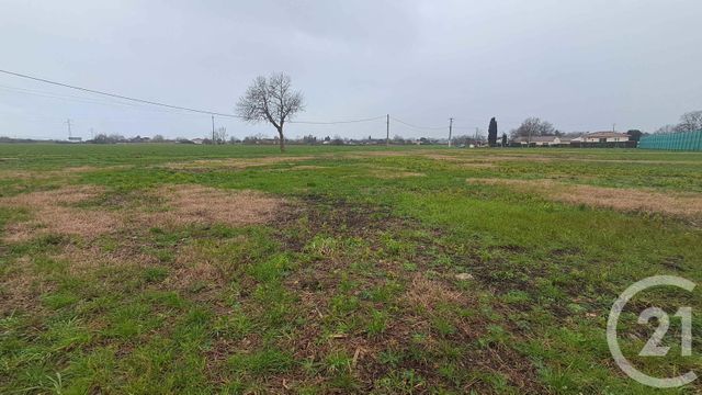 terrain à vendre - 1677.0 m2 - LAFITTE VIGORDANE - 31 - MIDI-PYRENEES - Century 21 Hnc.Immo