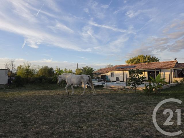 maison à vendre - 7 pièces - 170.0 m2 - MURET - 31 - MIDI-PYRENEES - Century 21 Hnc.Immo
