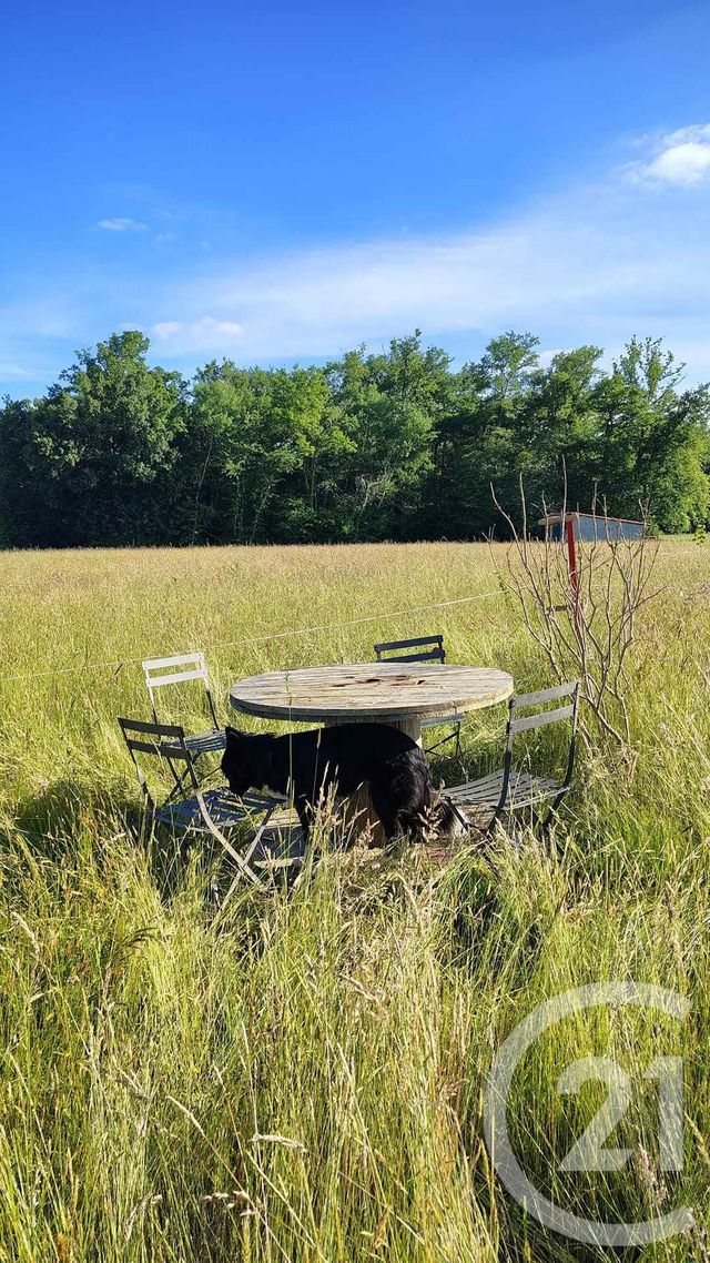 terrain à vendre - 16731.0 m2 - THERMES MAGNOAC - 65 - MIDI-PYRENEES - Century 21 Hnc.Immo