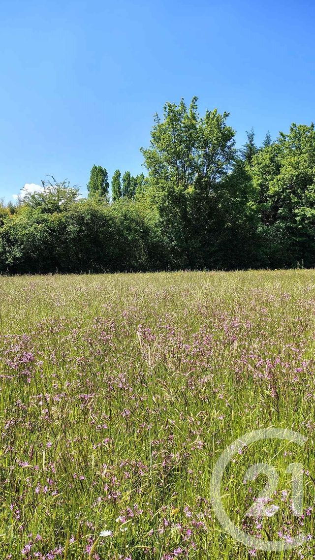 terrain à vendre - 16731.0 m2 - THERMES MAGNOAC - 65 - MIDI-PYRENEES - Century 21 Hnc.Immo