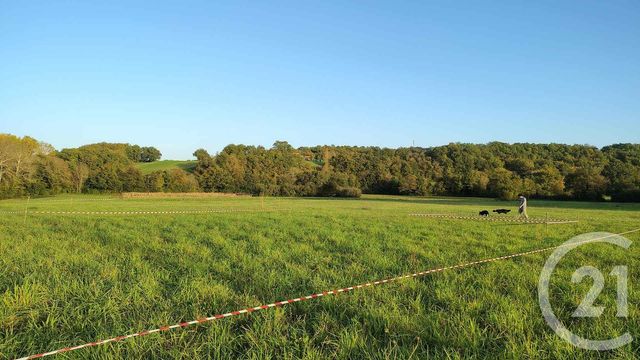 terrain à vendre - 16731.0 m2 - THERMES MAGNOAC - 65 - MIDI-PYRENEES - Century 21 Hnc.Immo