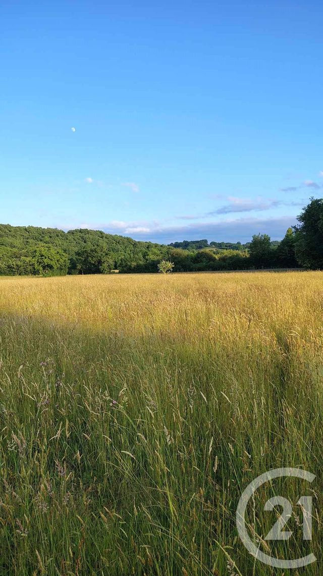 terrain à vendre - 16731.0 m2 - THERMES MAGNOAC - 65 - MIDI-PYRENEES - Century 21 Hnc.Immo
