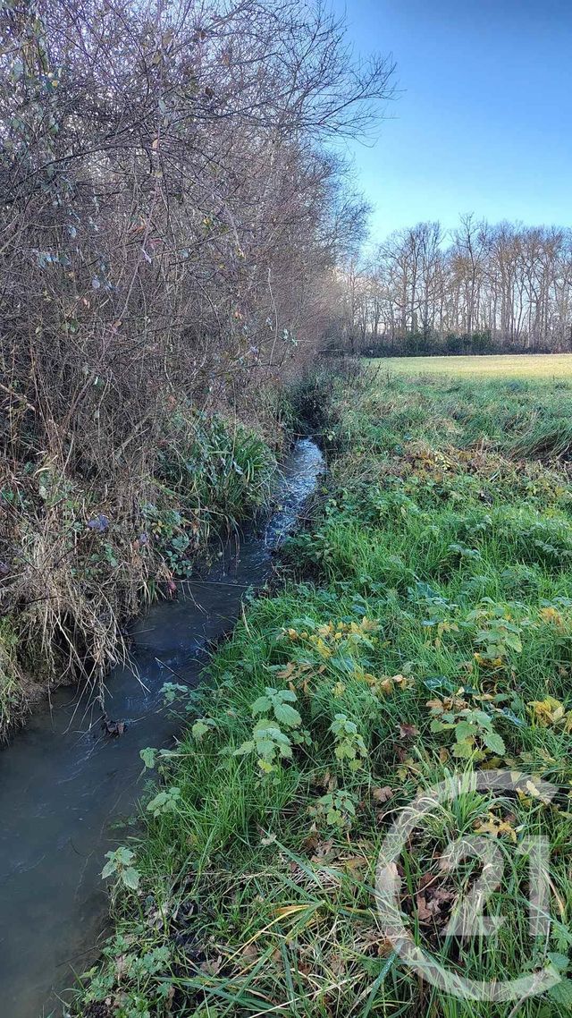 terrain à vendre - 16731.0 m2 - THERMES MAGNOAC - 65 - MIDI-PYRENEES - Century 21 Hnc.Immo