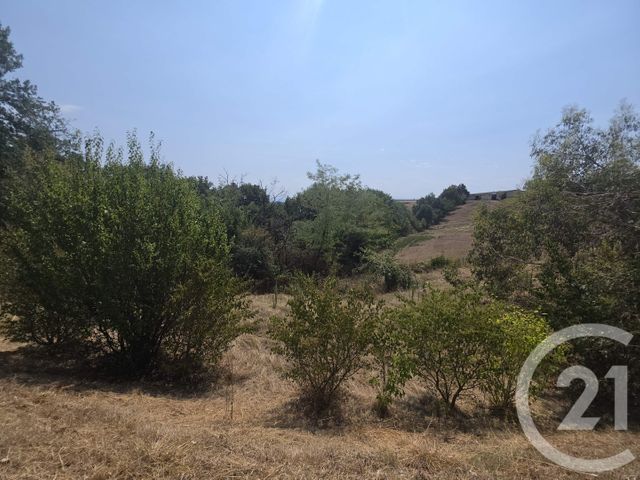 maison à vendre - 4 pièces - 120.0 m2 - GAILLAC TOULZA - 31 - MIDI-PYRENEES - Century 21 Hnc.Immo
