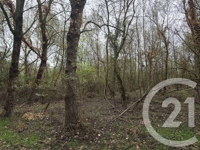 terrain à vendre - 64000.0 m2 - LONGAGES - 31 - MIDI-PYRENEES - Century 21 Hnc.Immo