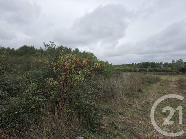 terrain à vendre - 64000.0 m2 - LONGAGES - 31 - MIDI-PYRENEES - Century 21 Hnc.Immo