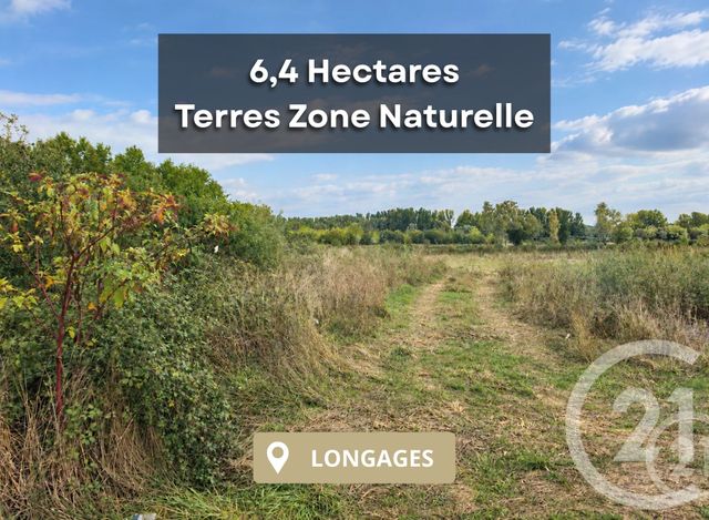 terrain à vendre - 64000.0 m2 - LONGAGES - 31 - MIDI-PYRENEES - Century 21 Hnc.Immo