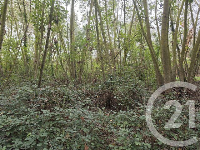 terrain à vendre - 64000.0 m2 - LONGAGES - 31 - MIDI-PYRENEES - Century 21 Hnc.Immo
